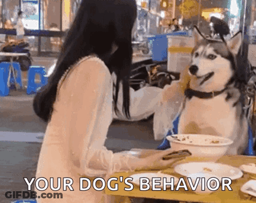 Dog Bites Flash GIF