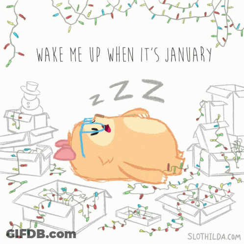Dog Boxes Wake Me Up When It's January GIF