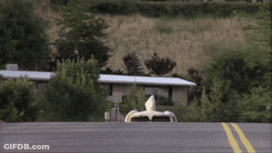 Dog Car Road Trip GIF