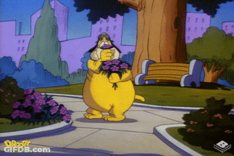 Dog Cartoon Giving Flowers GIF