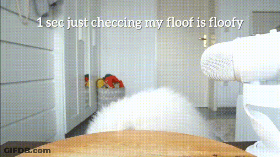 Dog Checking Yup I Still A Cloud GIF