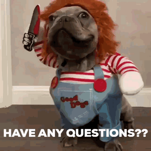 Dog Chucky Holloween Costume Have Any Questions GIF