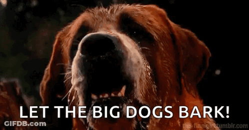 Dog Close Up Saying Let The Big Dogs Bark GIF