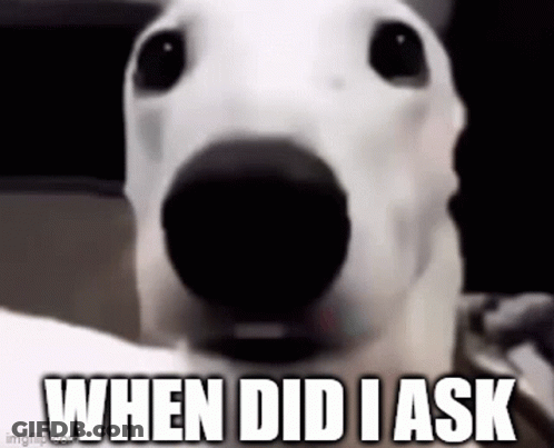 Dog Close Up Saying When Did I Ask GIF