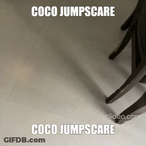 Dog Coco Jumpscare GIF