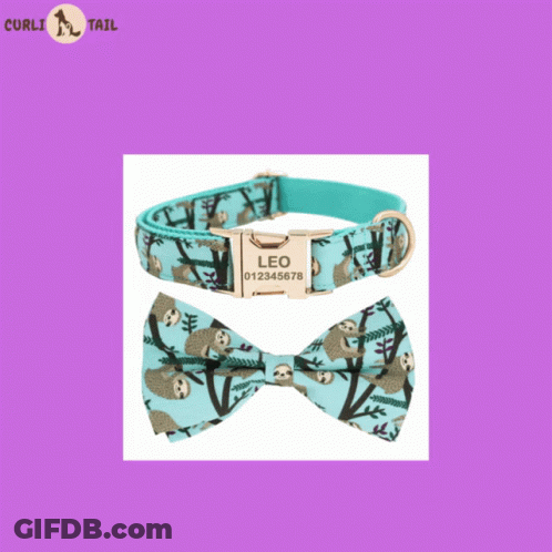 Dog Collar With USA Bow And Bow Tie GIF