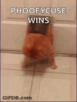 Dog Coming Out Of Door With Phoofycuse Wins GIF