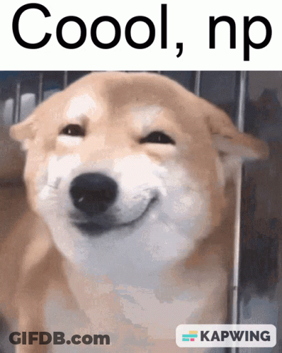 Dog Coool Np GIF