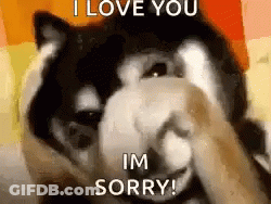Dog Covering Face Saying I Love You Sorry GIF