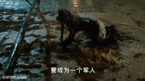 Dog Crawling In Mud With Chinese Writing GIF