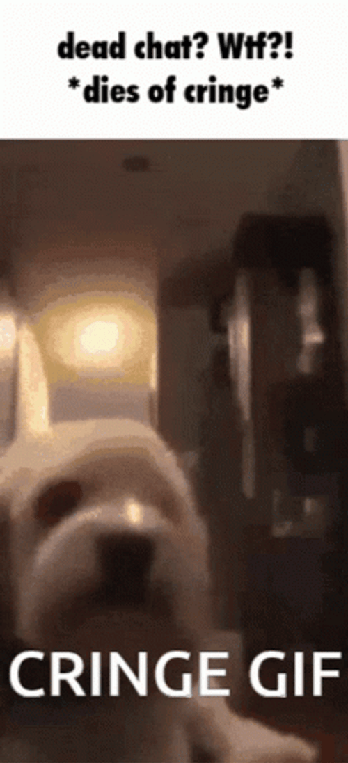Dog Cringe Dead Chat GIF