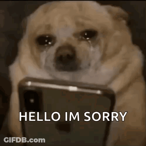 Dog Crying At Cell Phone Saying Hello Im Sorry GIF