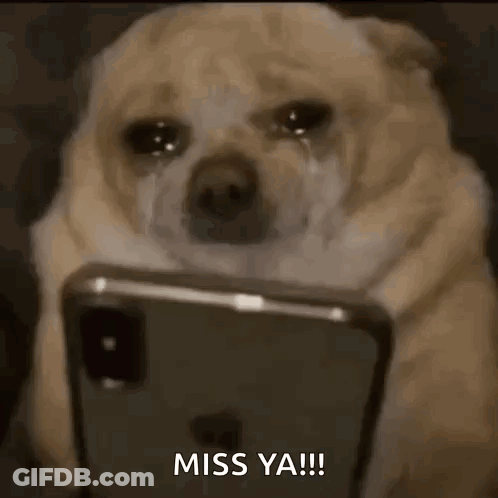 Dog Crying At Cell Phone Saying Miss Ya GIF