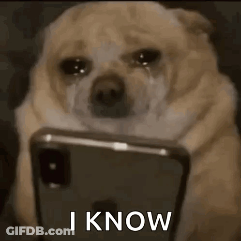 Dog Crying At Phone Saying I Know GIF