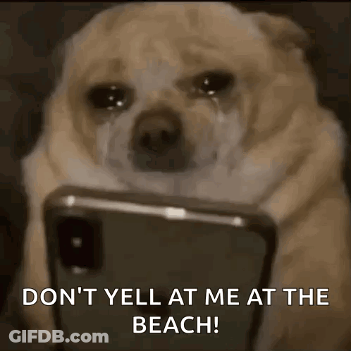 Dog Crying At Phone Says Don't Yell At Me At Beach GIF