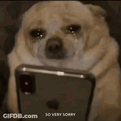 Dog Crying Looking At Cell Phone GIF