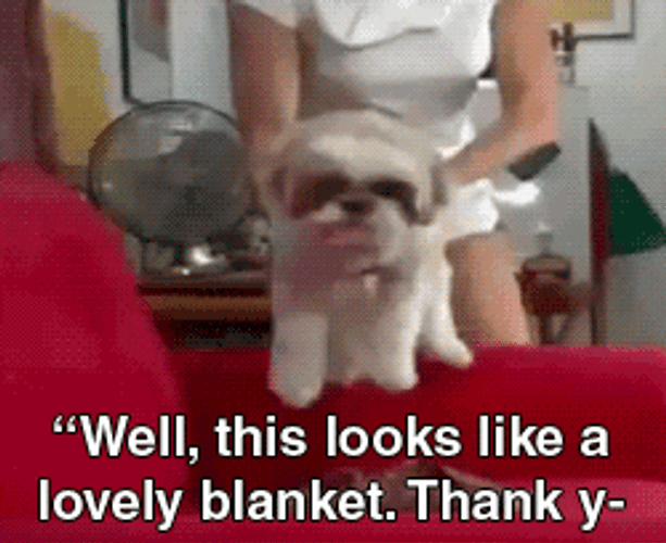 Dog Cursing Because It's A Trap GIF