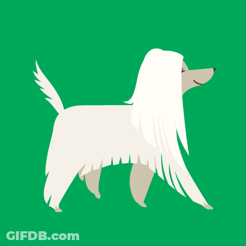 Dog Dance Wiggle Bum GIF