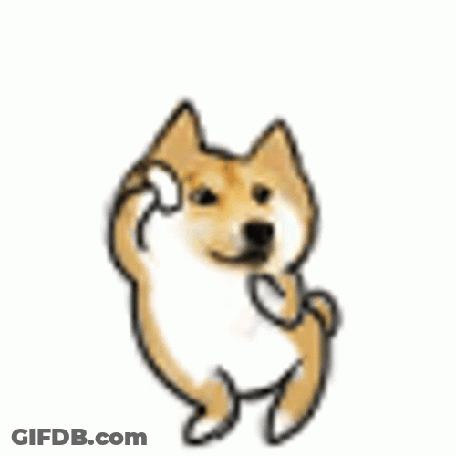 Dog Dancing GIF