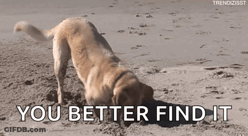 Dog Digging In Sand You Better Find It GIF
