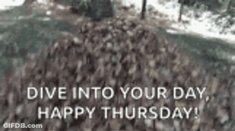 Dog Diving To Dried Leaves Funny Thursday Meme GIF