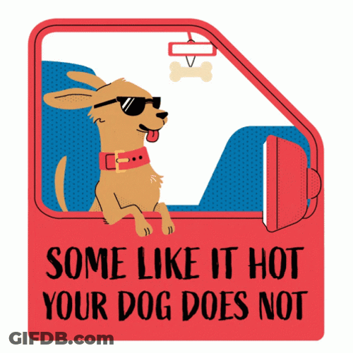 Dog Doesn't Want Too Hot Weather GIF
