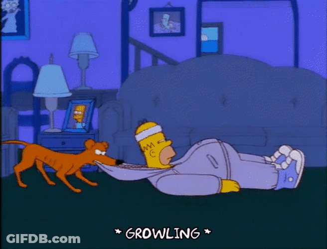 Dog Dragging Homer Simpson GIF
