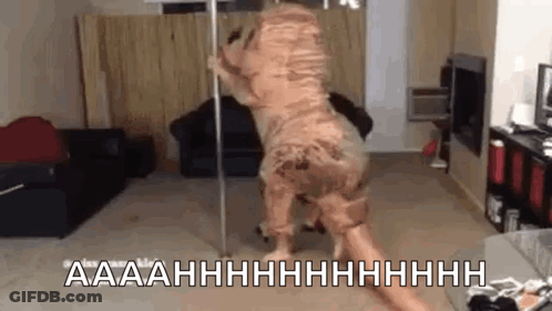 Dog Dressed As Dinosaur Dancing On Pole GIF