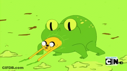 Dog Dressed As Frog With N And HD GIF
