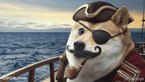 Dog Dressed As Pirate With Eye Patch And Pipe GIF