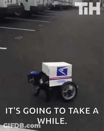 Dog Dressed As Postal Worker Riding Cart With Box GIF