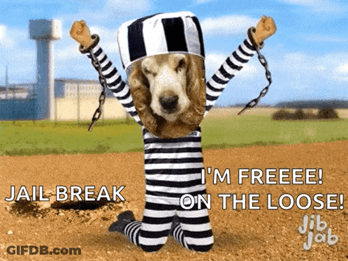 Dog Dressed As Prisoner Jail Break GIF