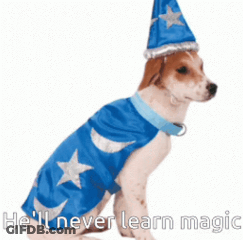 Dog Dressed As Wizard Saying He'll Never Learn Magic GIF