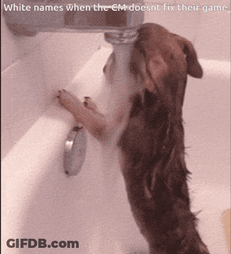 Dog Drinking From Faucet White Names When The Cm Does Nt Fix Their Game GIF