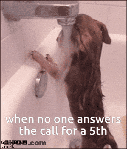 Dog Drinking Water From Faucet GIF