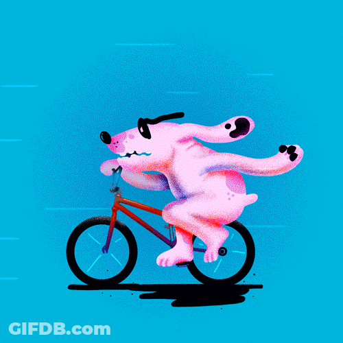 Dog Drive Bicycle Coming In Hot GIF
