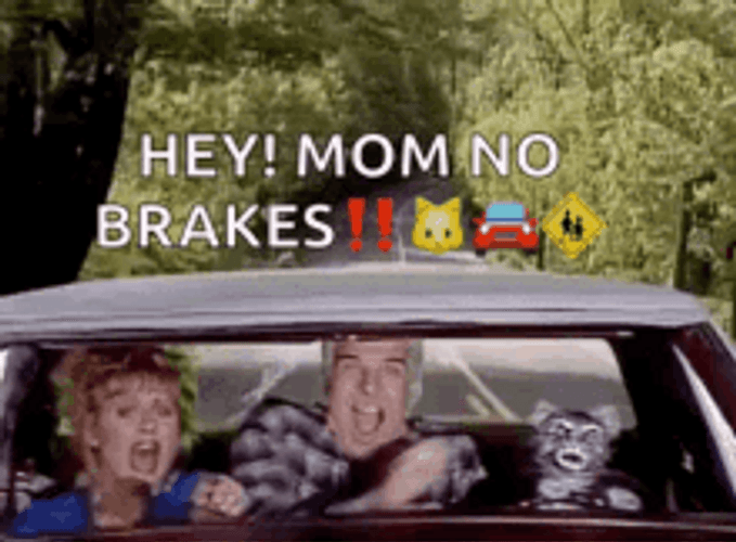 Dog Driving A Family GIF