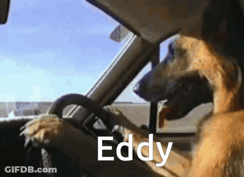 Dog Driving Car Eddy GIF