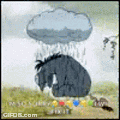 Dog Driving Car Saying Eddy GIF