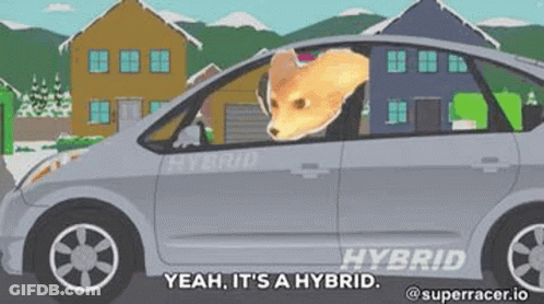 Dog Driving Hybrid Car South Park GIF