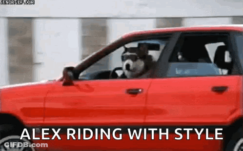 Dog Driving Red Car Alex Riding With Style GIF