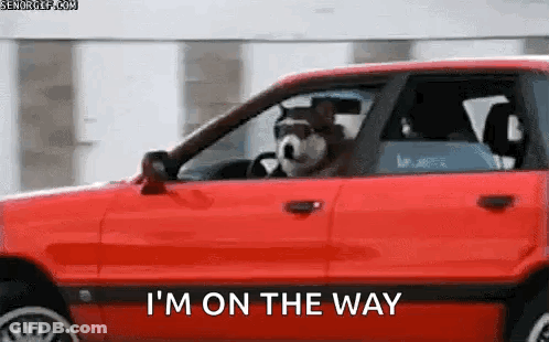 Dog Driving Red Car Saying I'm On The Way GIF