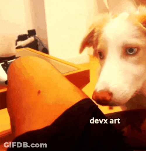 Dog Eat Mosquito GIF