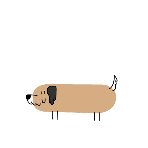 Dog Eating And Excreting Poop GIF