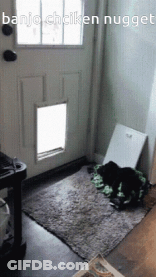 Dog Eating Chicken Nugget Meme GIF