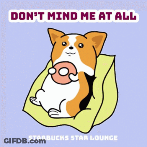 Dog Eating Donut Don't Mind Me At All Starbucks Star Lounge GIF