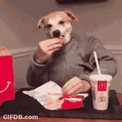 Dog Eating Hamburger And Drinking McDonald's Cup GIF