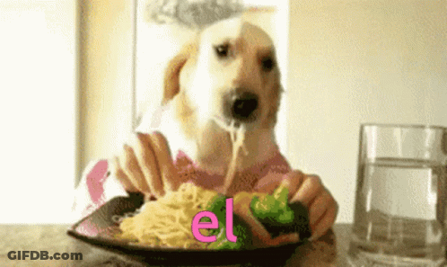 Dog Eating Spaghetti And Broccoli With Word El GIF