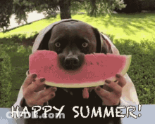 Dog Eating Watermelon Happy Summer GIF