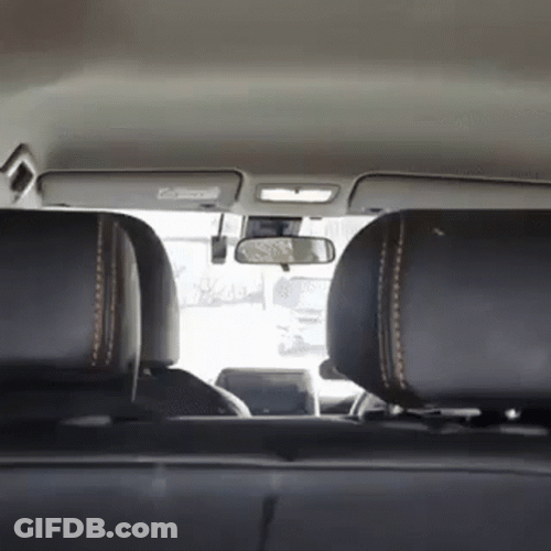 Dog Excited For Sausage GIF